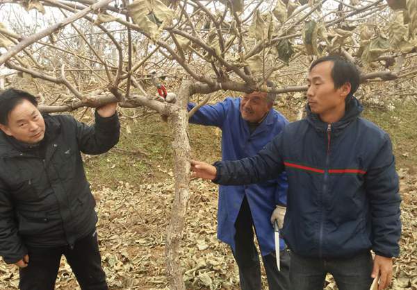 段眉会同志荣获2011—2013年度全国农渔业丰收奖贡献奖