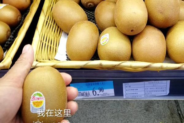 本图种植的奇异果不输新西兰进口的阳光金果 台湾涂旭帆