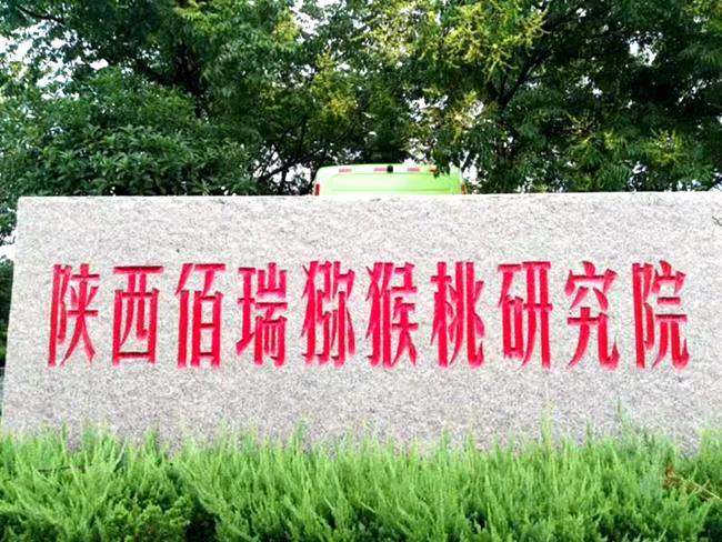 陕西省猕猴桃工程技术研究中心主任、陕西佰瑞猕猴桃研究院有限公司董事长、中国猕猴桃产业技术创新战略联盟理事长雷玉山